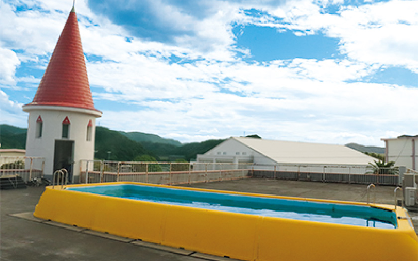 写真：屋上プール