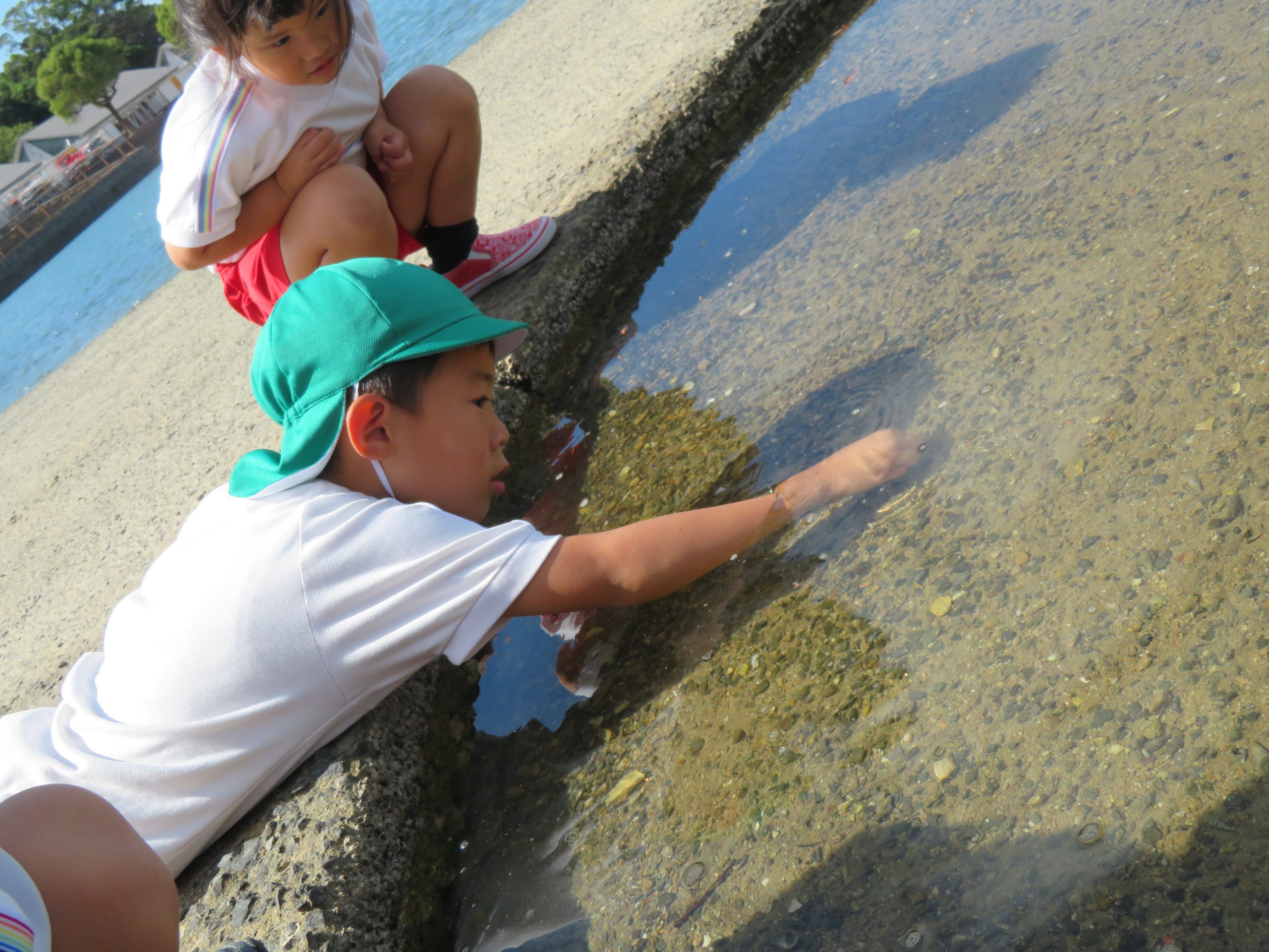 記事：秋の遠足～年長編～のサムネイル
