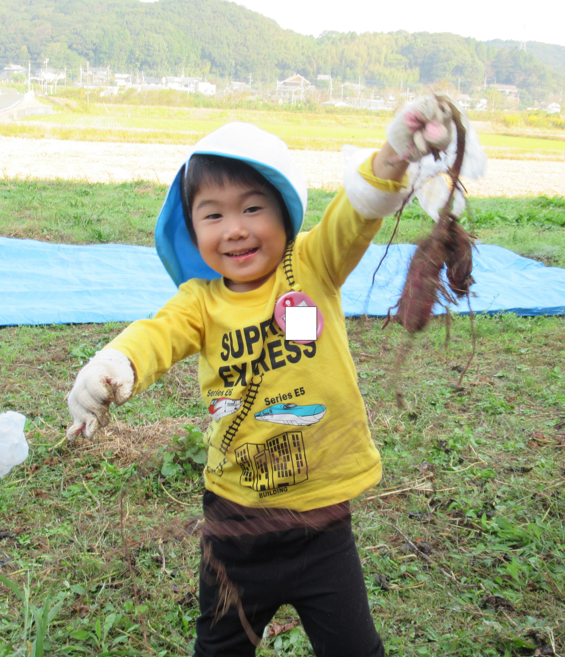 記事：芋ほり大作戦！！！のサムネイル