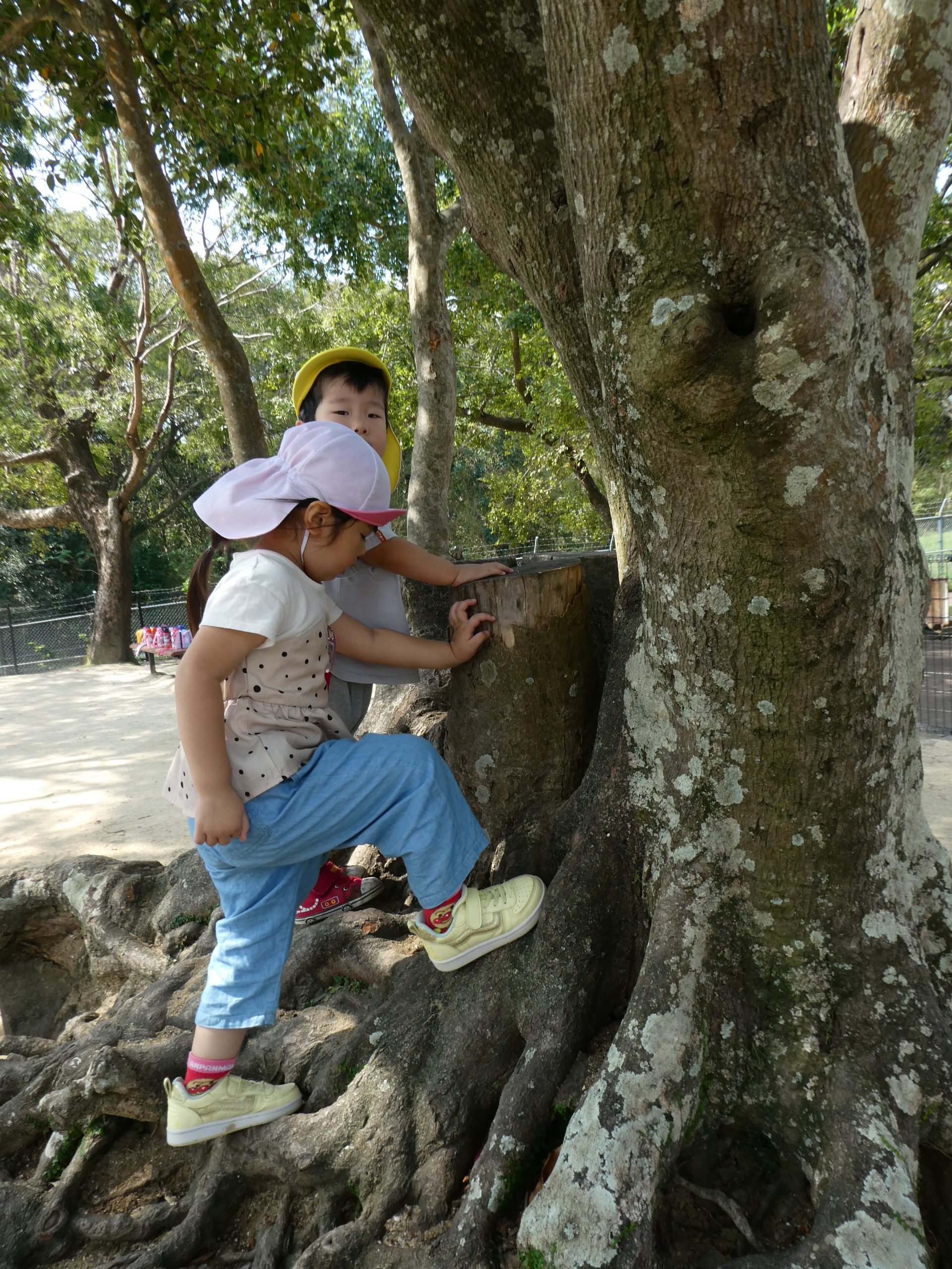 記事：園外保育～天神公園へ～のサムネイル