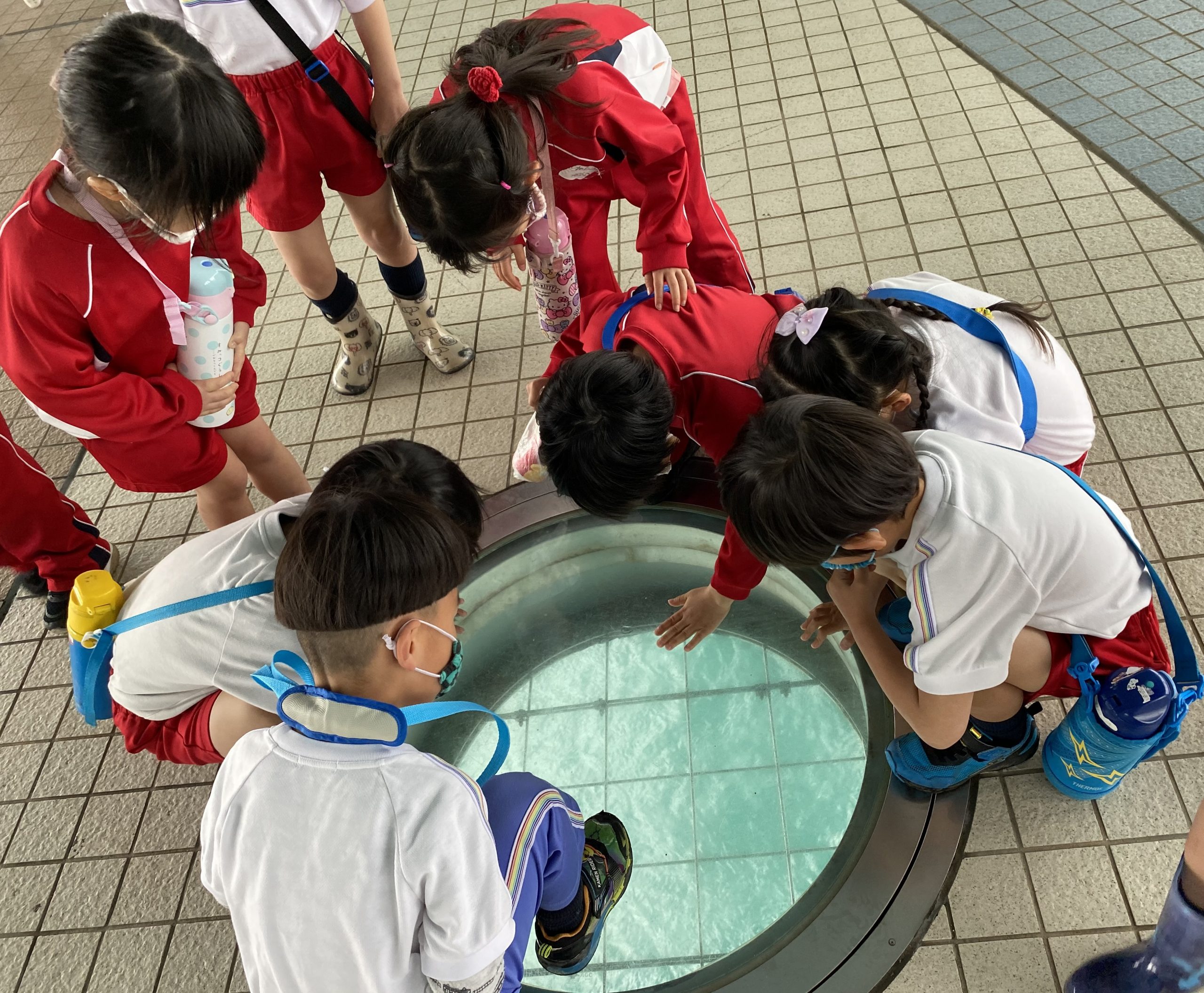 記事：雨の中のバス旅行☔のサムネイル