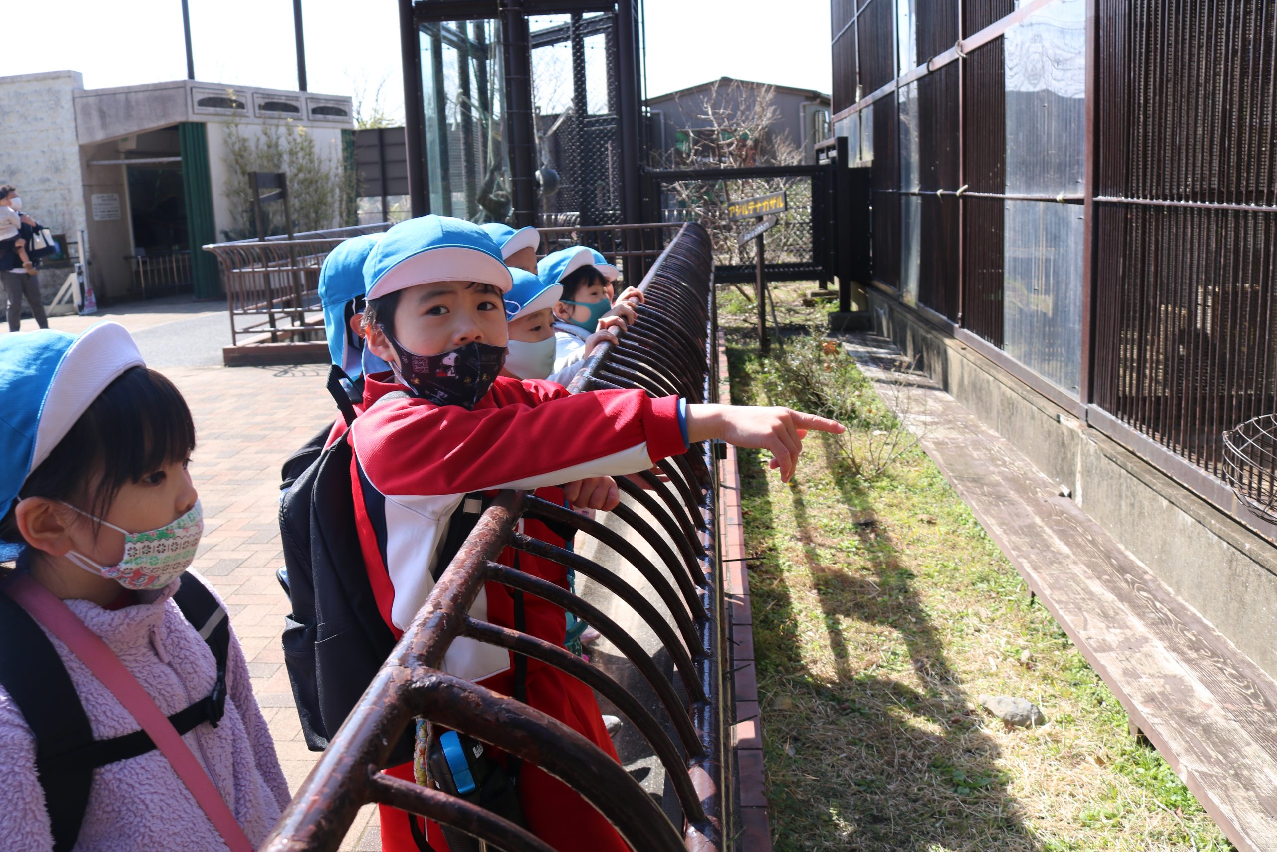 記事：年長遠足♪のサムネイル