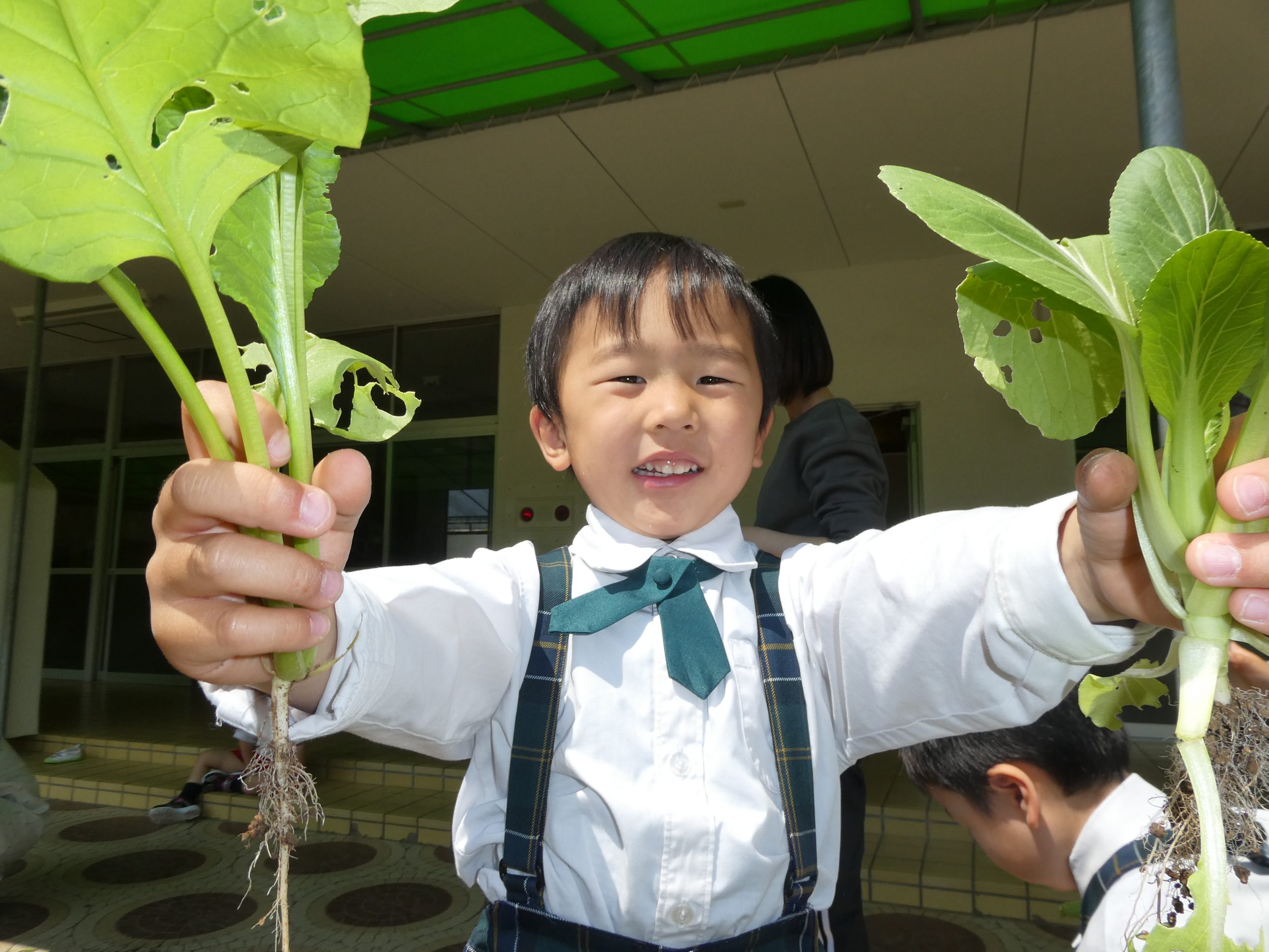 記事：年中組の一日🎵のサムネイル