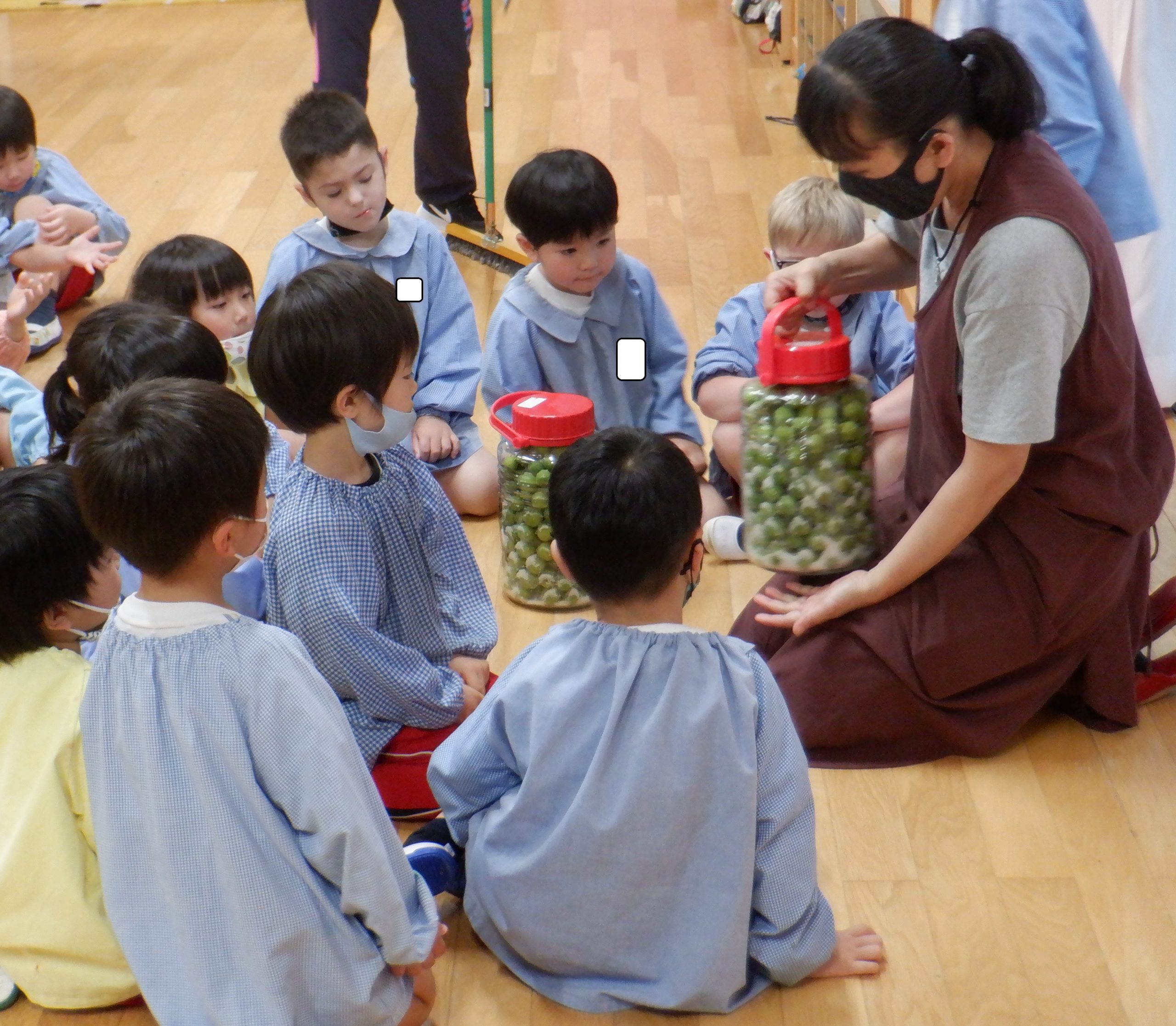 記事：梅干し作りに挑戦！　～その１～のサムネイル