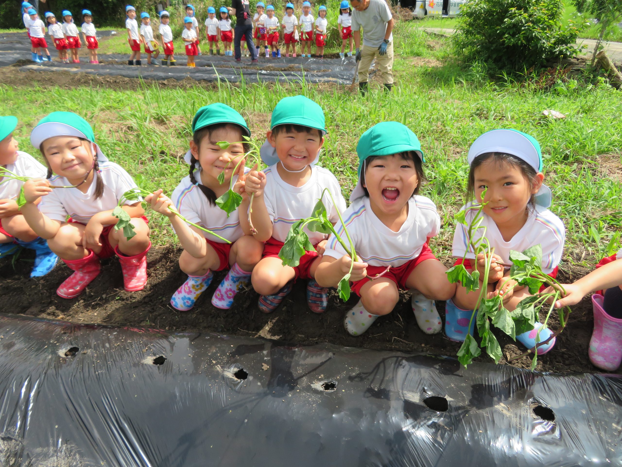 記事：芋さしに行ってきました！のサムネイル