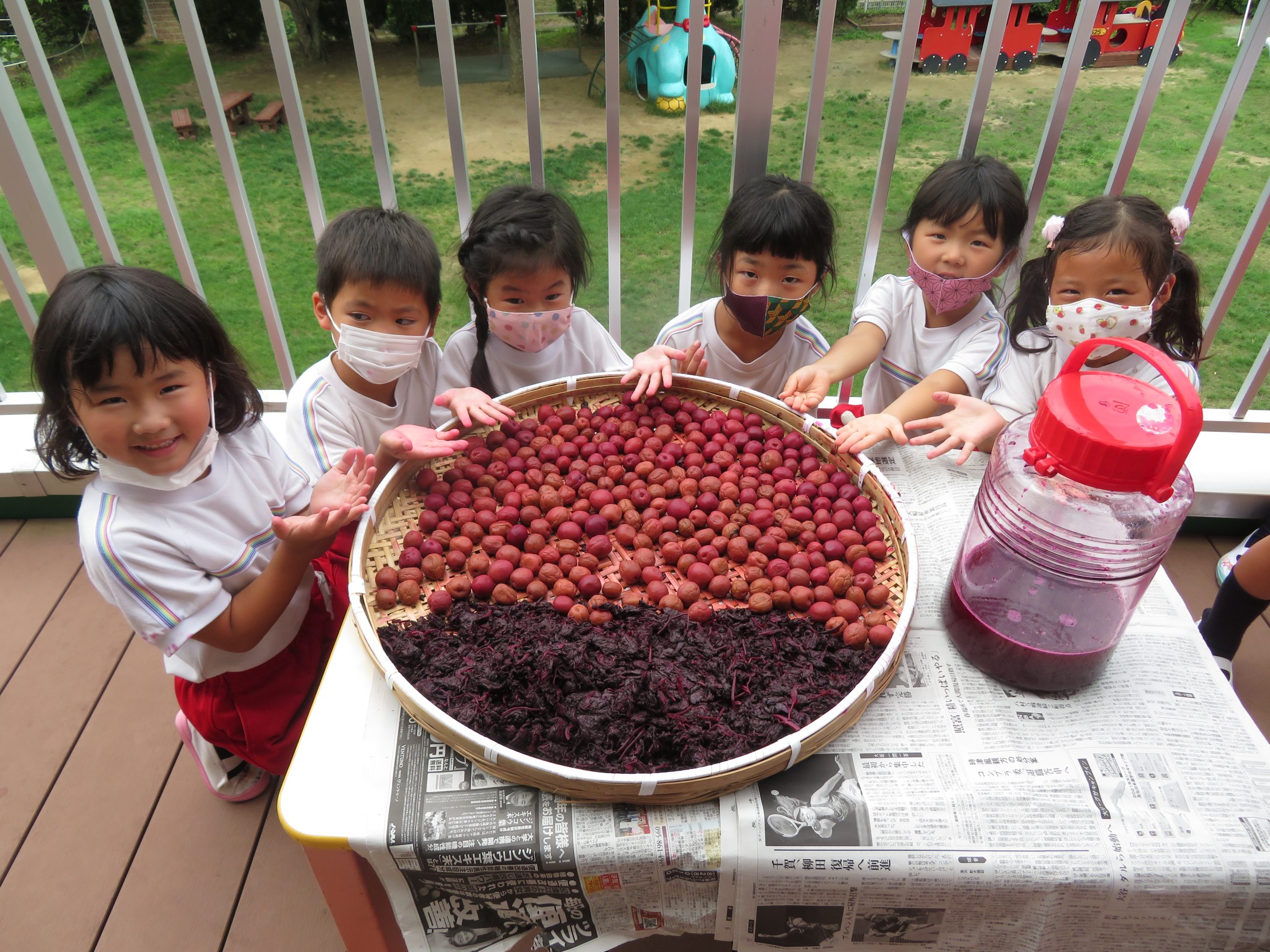 記事：梅干し作り　～完成間近？！～のサムネイル