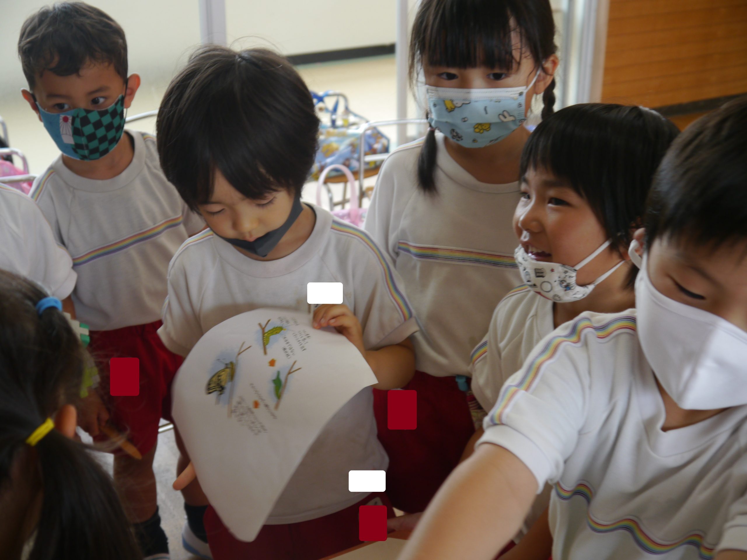 記事：虫はかせ🐞のサムネイル