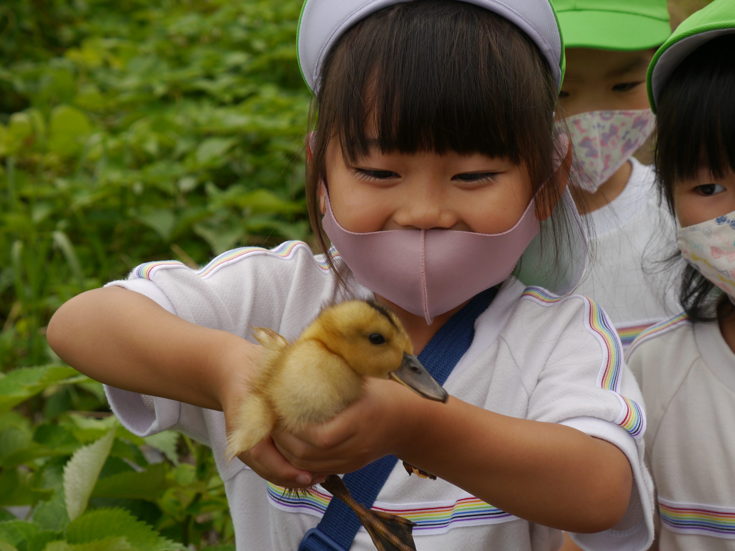 記事：合鴨農法の見学＆豚舎見学のサムネイル
