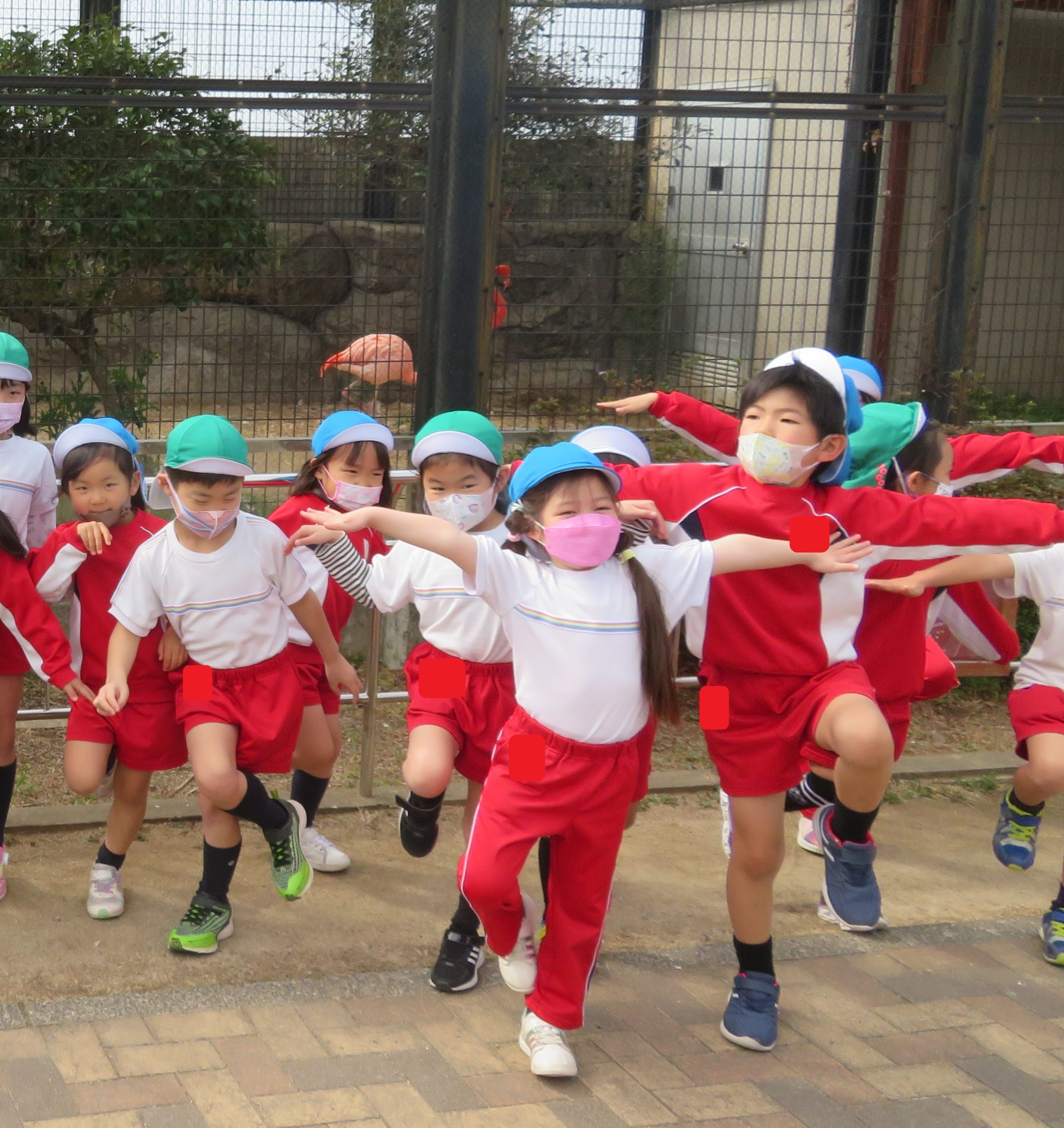 記事：お別れ遠足（年長）☀のサムネイル