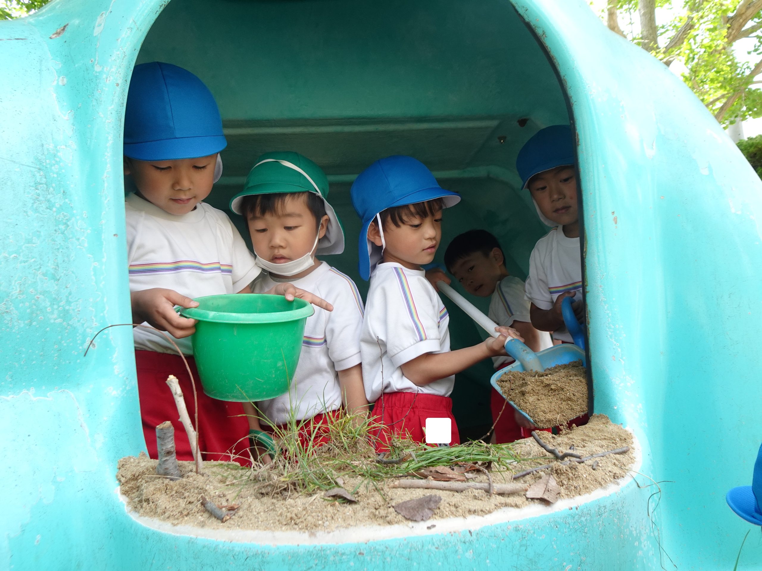 記事：園庭の子どもたち🎶のサムネイル