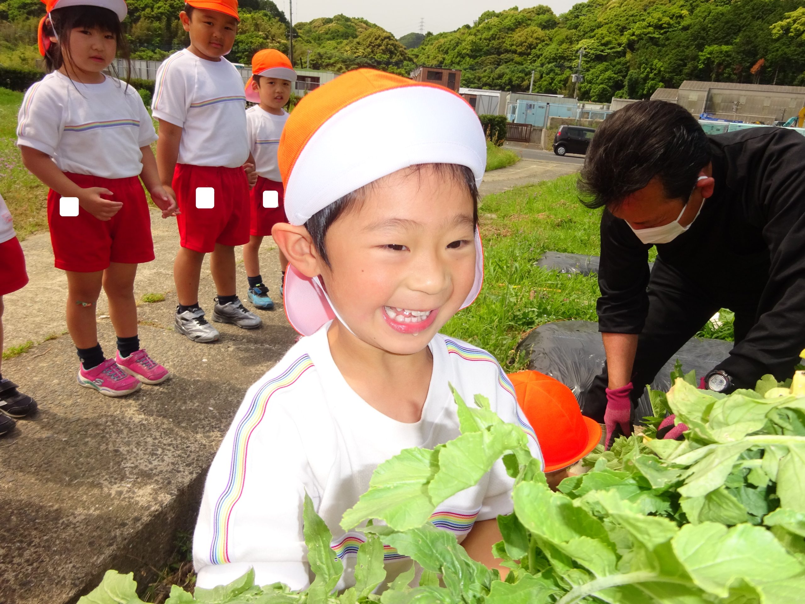 記事：夏野菜を育てよう！（年中）のサムネイル