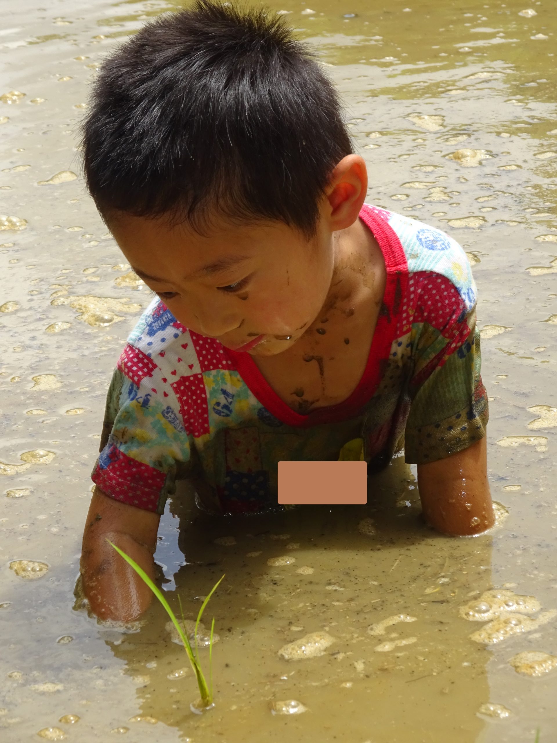 記事：田植え体験✨のサムネイル