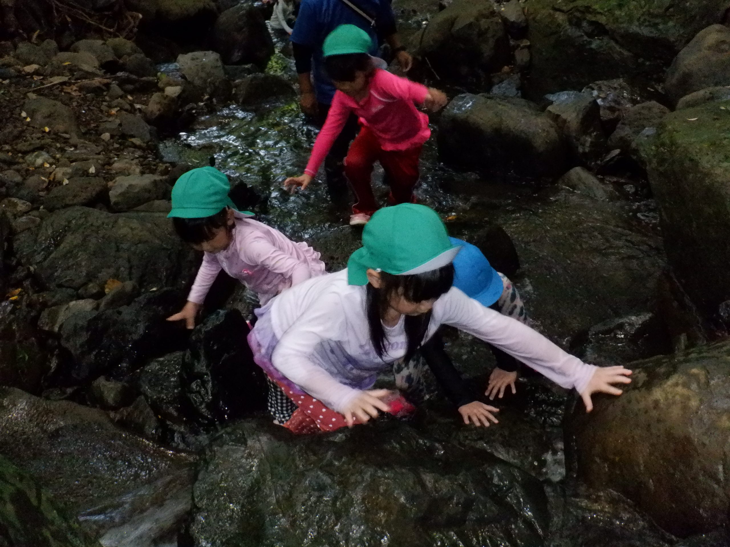 記事：デイキャンプ☀（年長組）のサムネイル