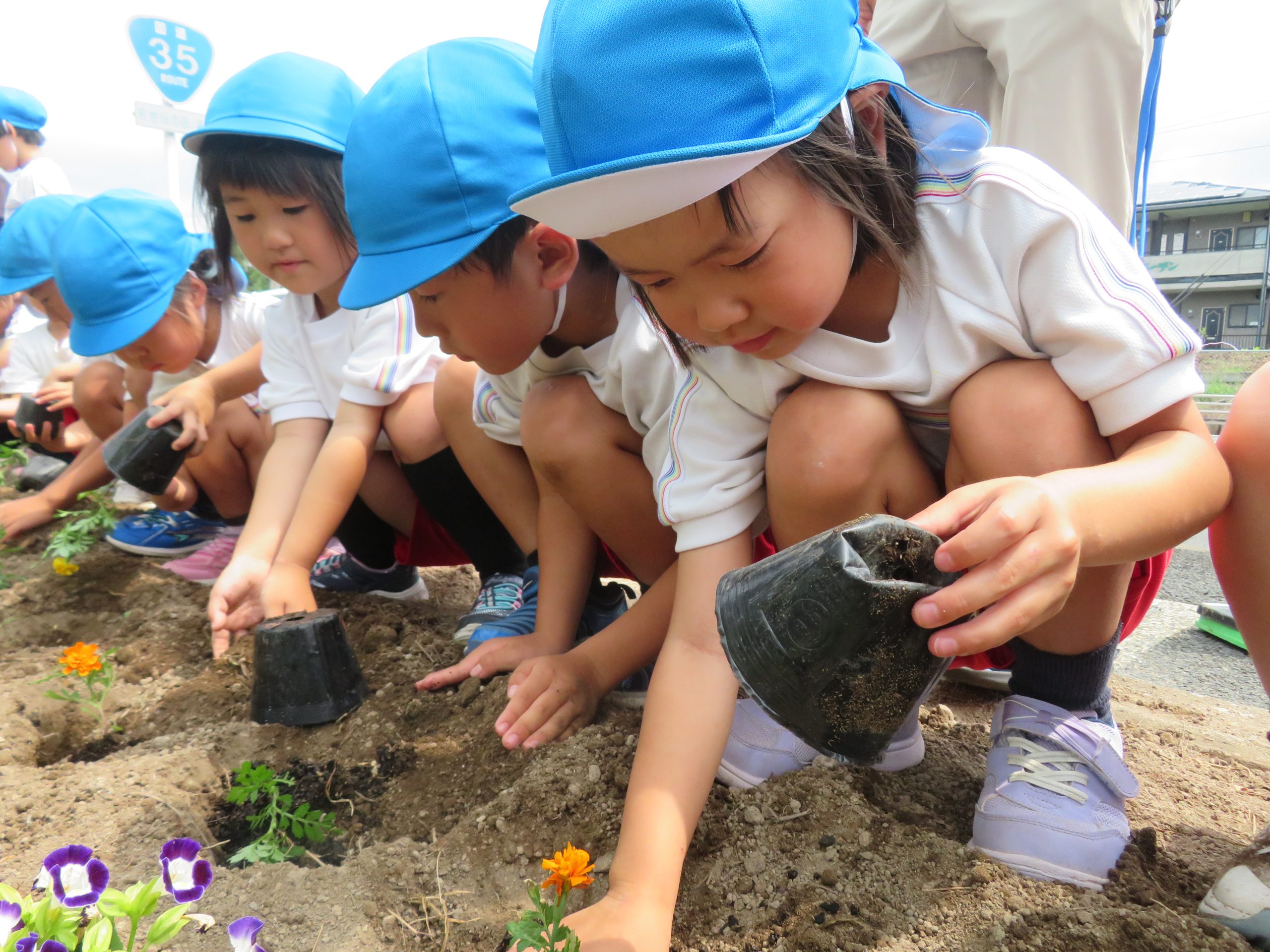 記事：美し化🌼プロジェクト（年長組）のサムネイル