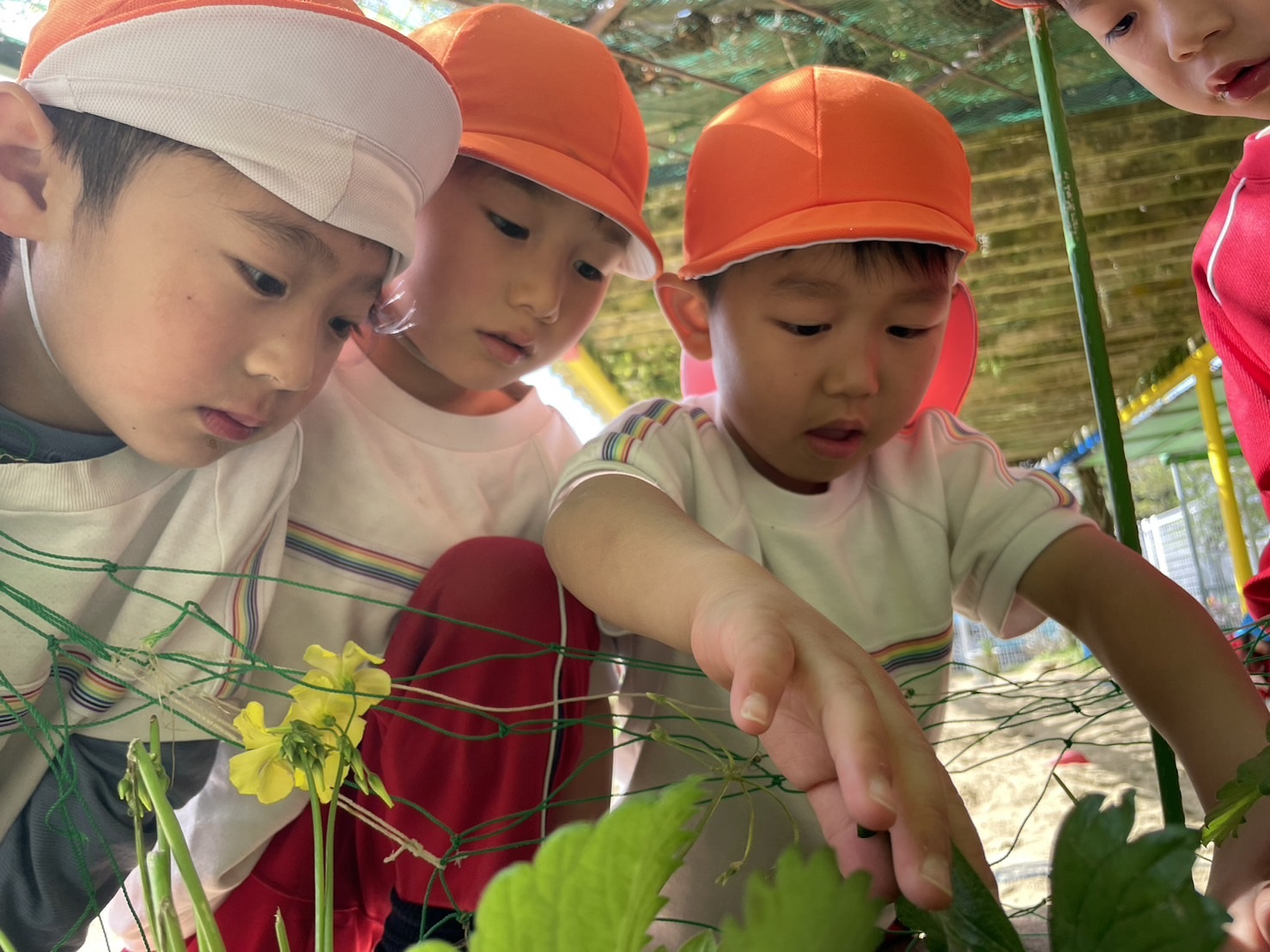 記事：自然とおともだち💛のサムネイル