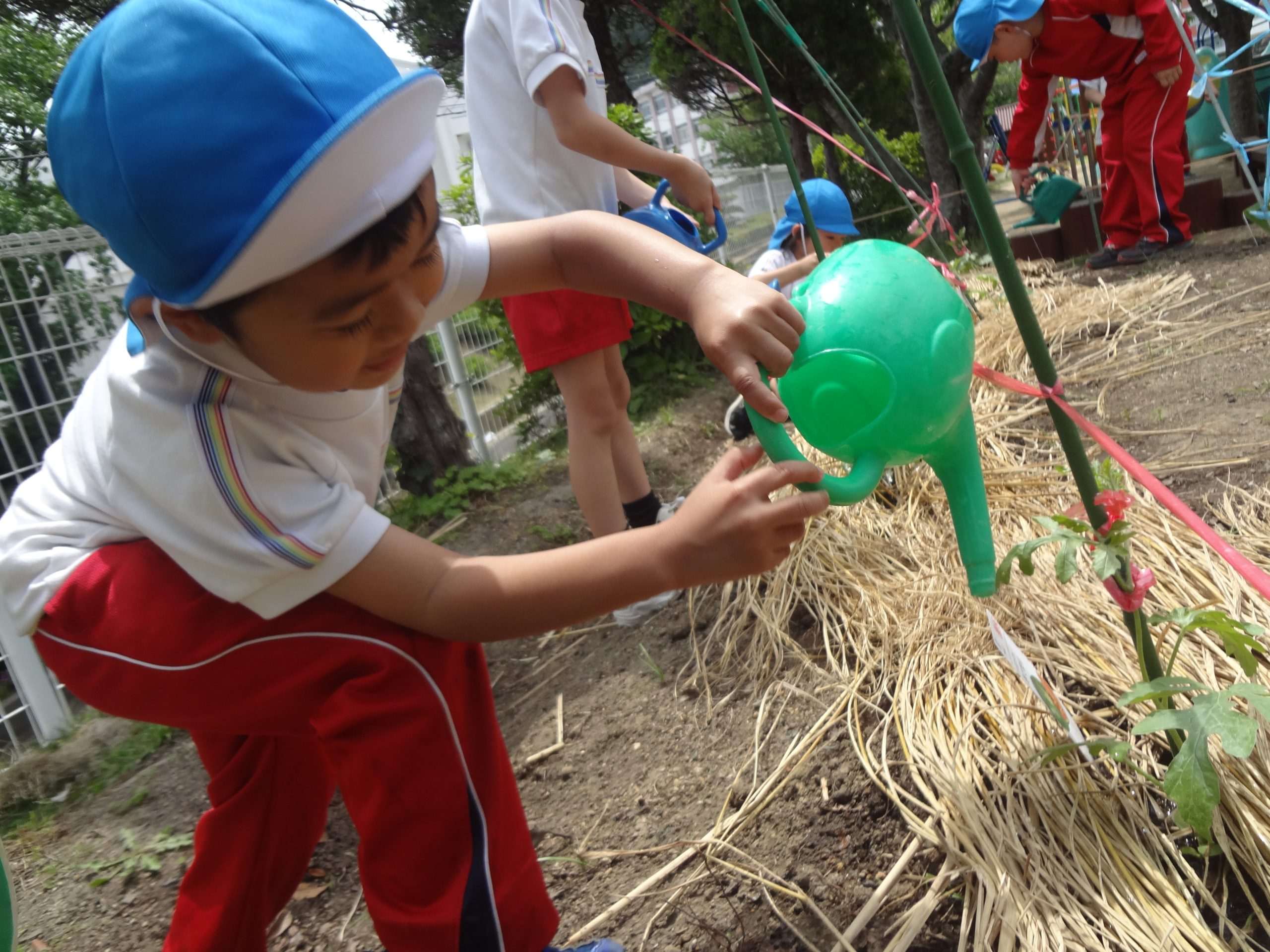 記事：最近の年長さん😊のサムネイル