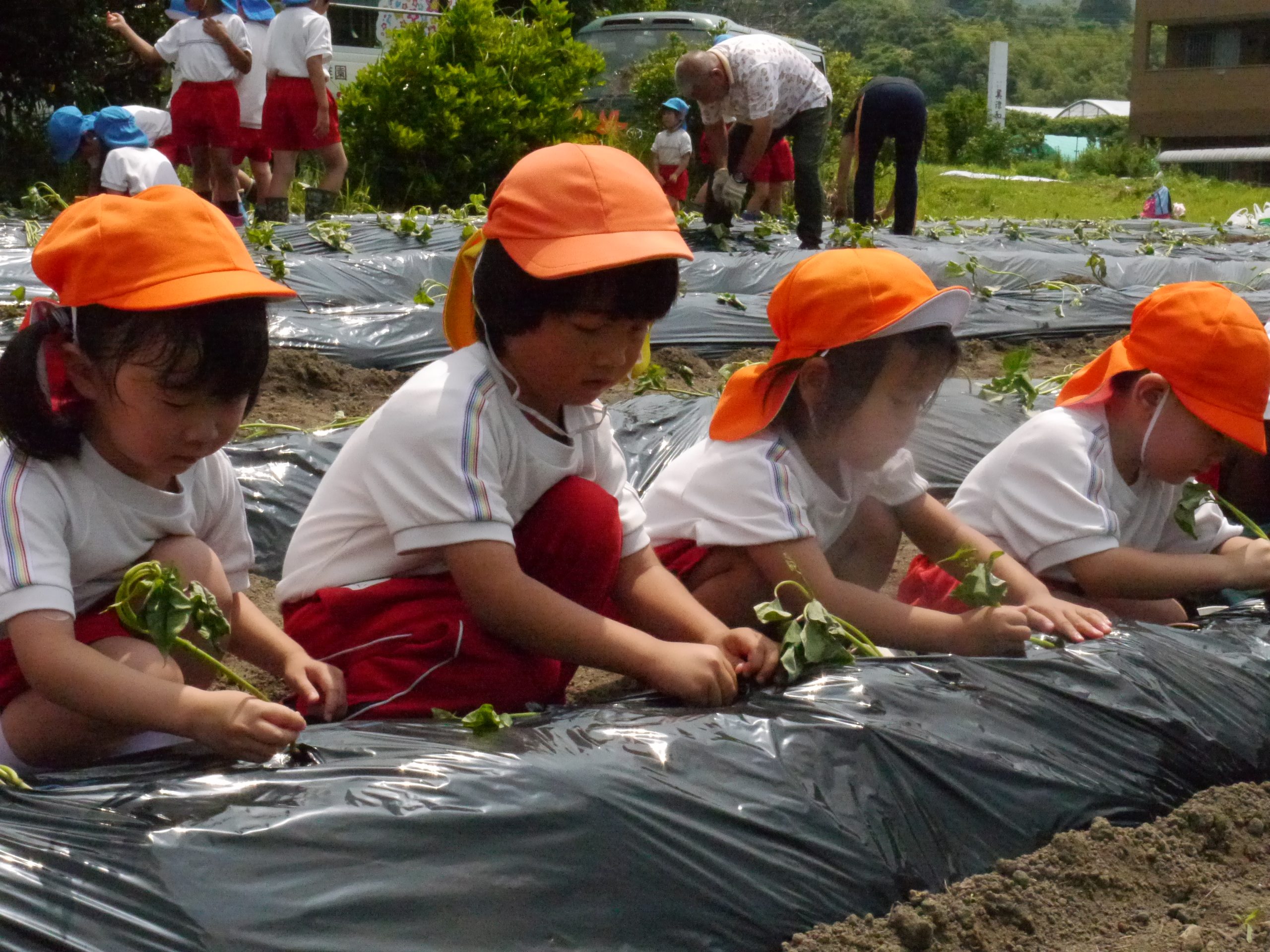 記事：いもさしのサムネイル