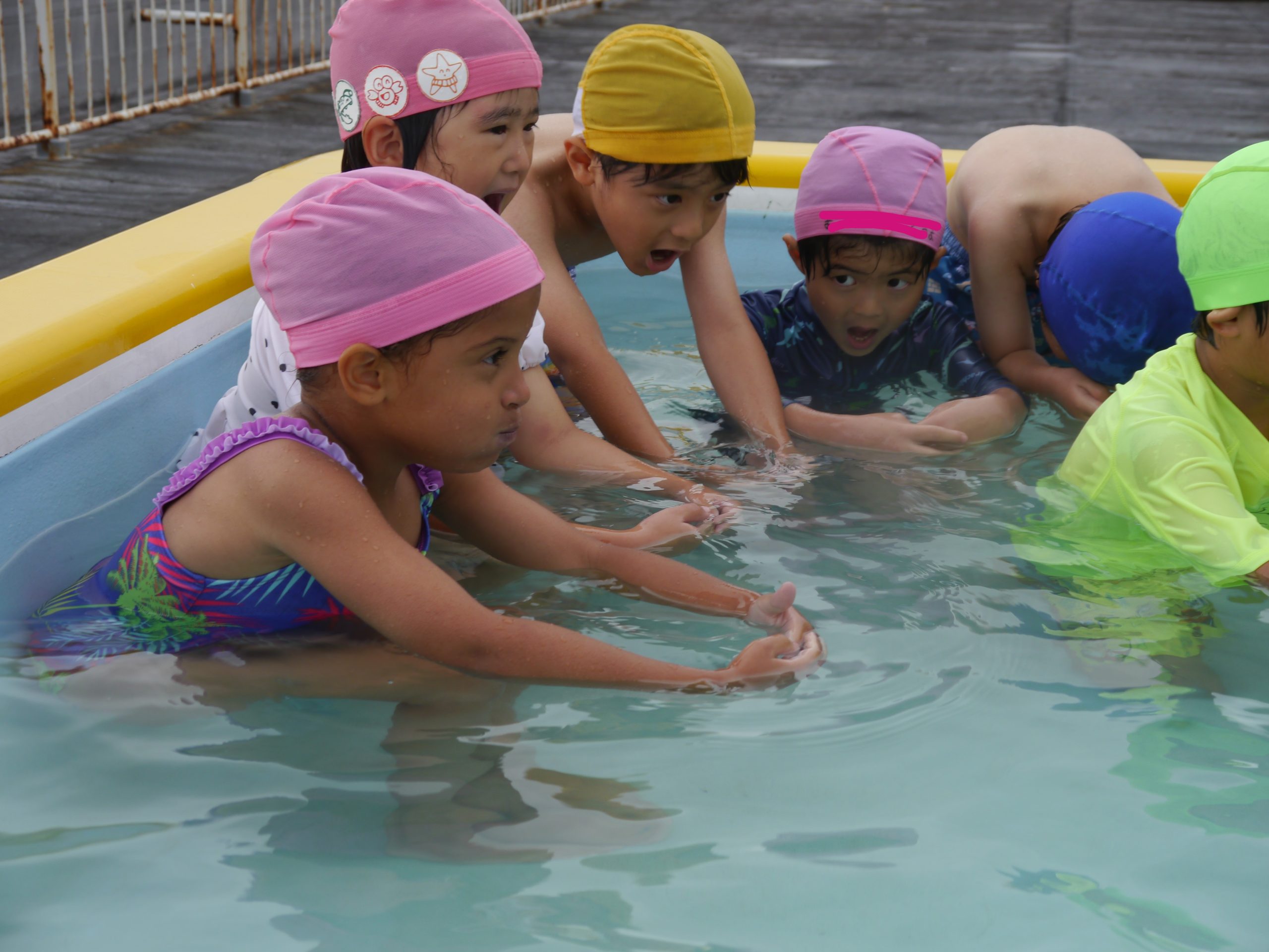 記事：プール遊びがはじまりましたのサムネイル