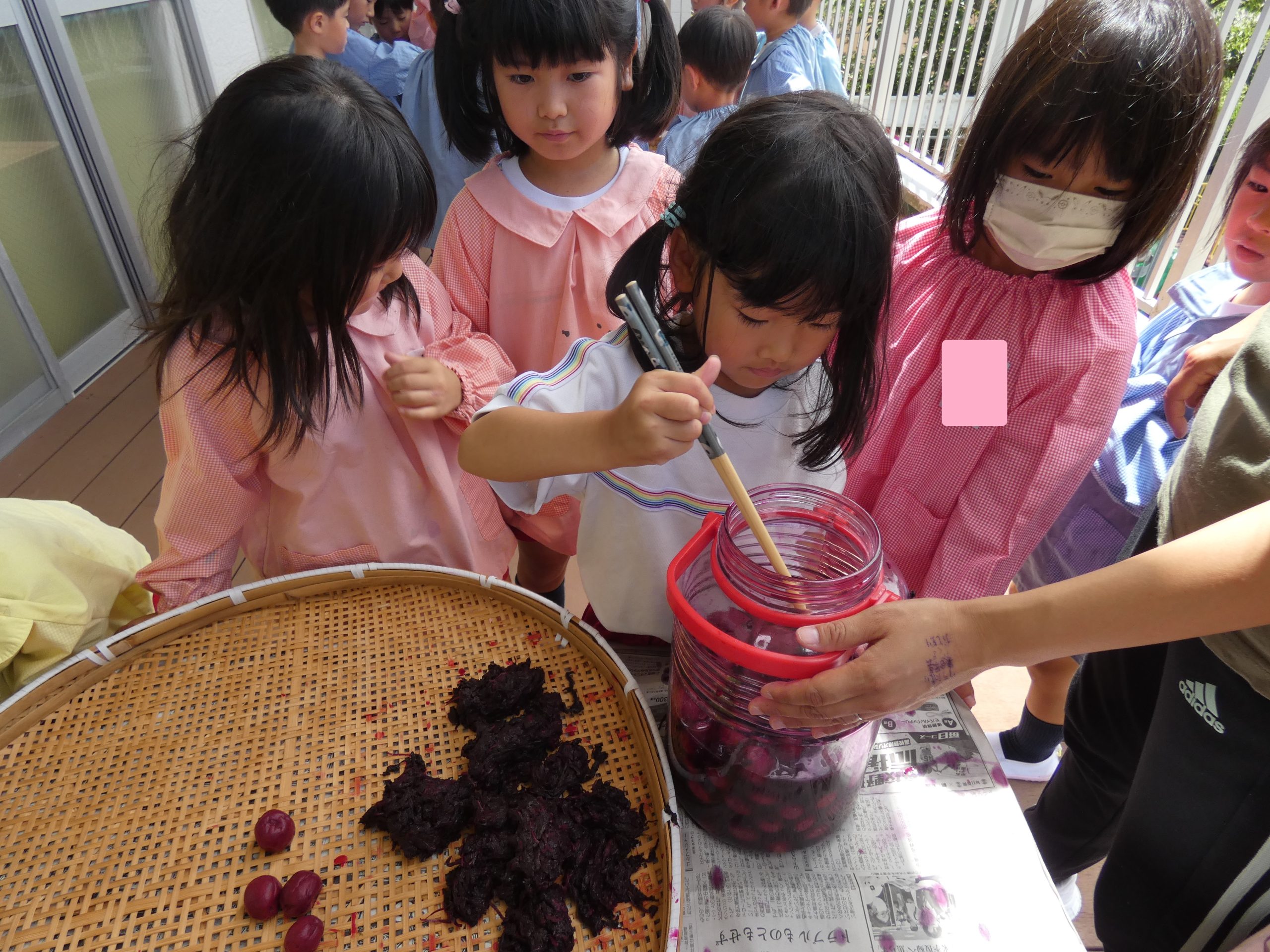 記事：梅干しづくり（年長組）のサムネイル