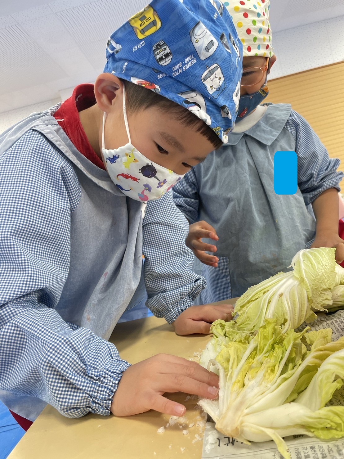 記事：白菜漬けに挑戦！のサムネイル