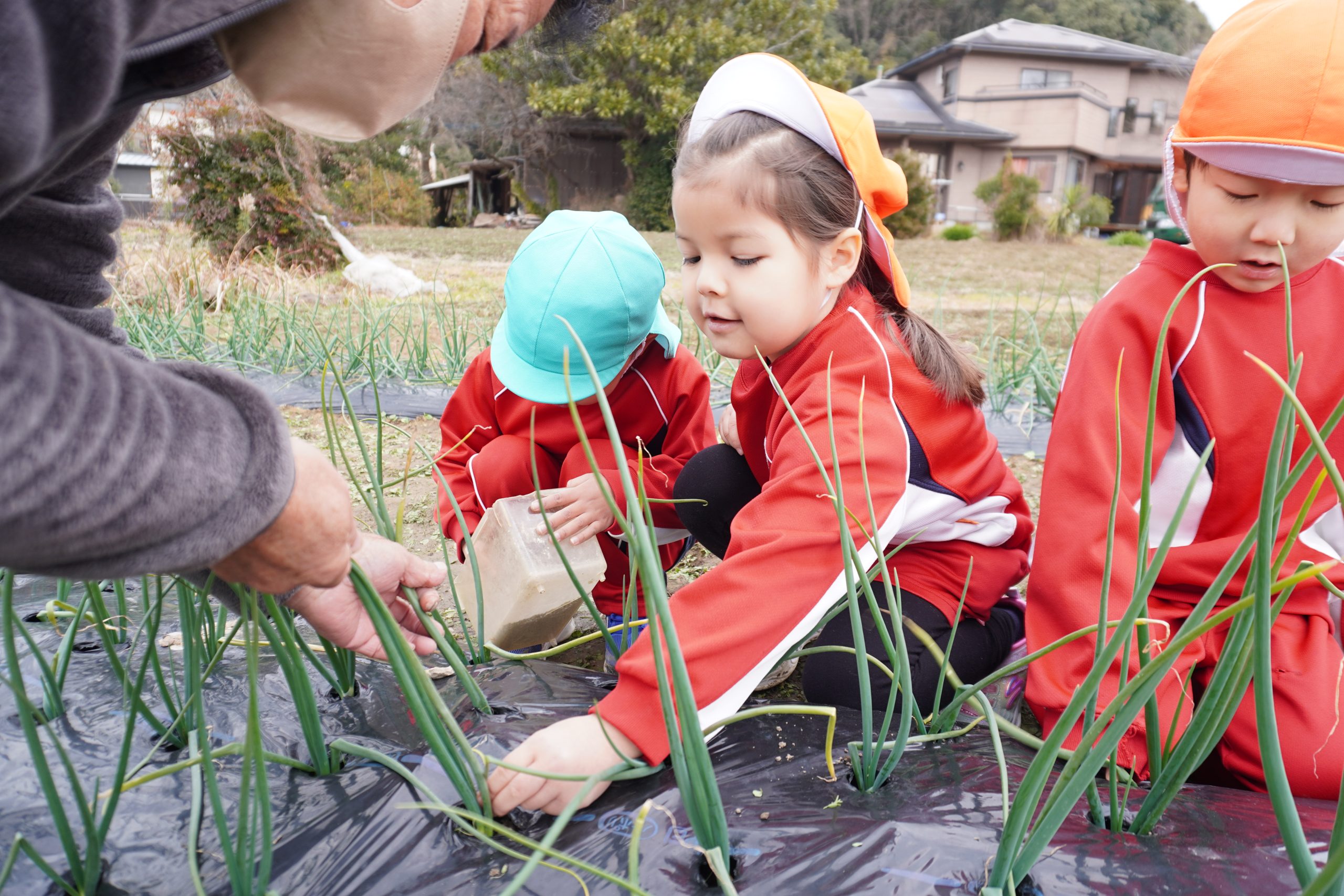 記事：畑に行ってきたよ🥬のサムネイル